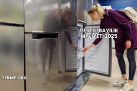 Vestel Bayilik Maliyeti 2025