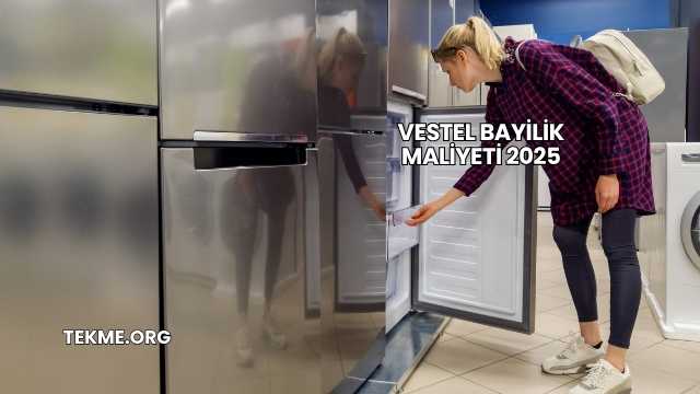 Vestel Bayilik Maliyeti 2025