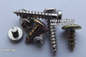 Vida Fabrikası Maliyeti 2025