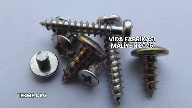 Vida Fabrikası Maliyeti 2025