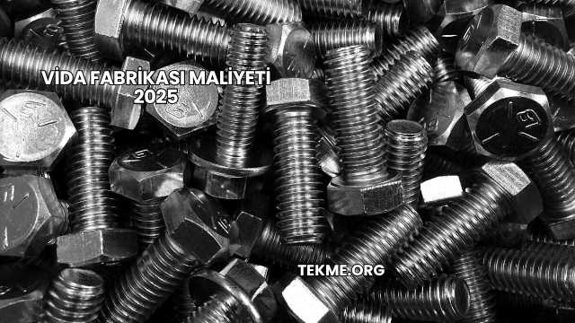 Vida Fabrikası Maliyeti 2025