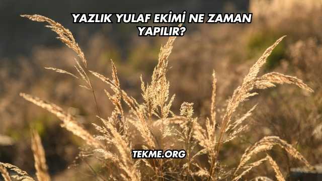 Yazlık Yulaf Ekimi Ne Zaman Yapılır?