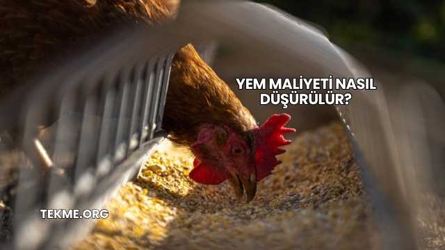 Yem Maliyeti Nasıl Düşürülür?