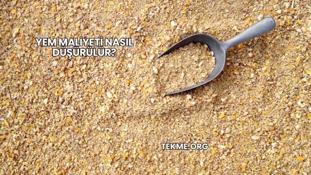 Yem Maliyeti Nasıl Düşürülür?
