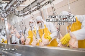 Yemek Fabrikası Kurulum Maliyeti 2025