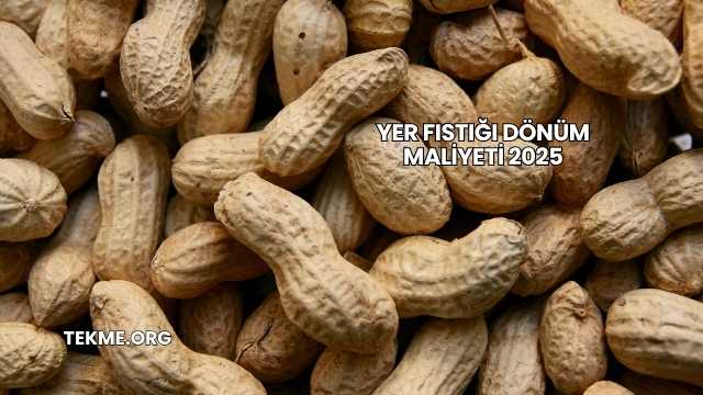 Yer Fıstığı Dönüm Maliyeti 2025
