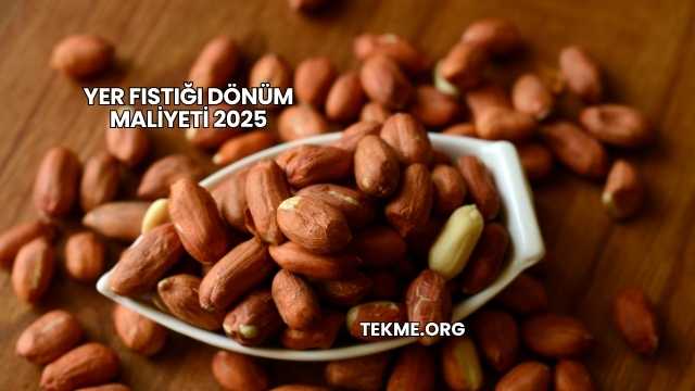 Yer Fıstığı Dönüm Maliyeti 2025