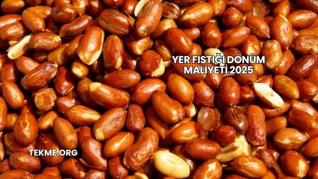 Yer Fıstığı Dönüm Maliyeti 2025