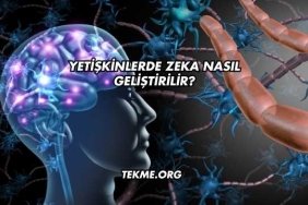 Yetişkinlerde Zeka Nasıl Geliştirilir?