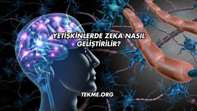 Yetişkinlerde Zeka Nasıl Geliştirilir?