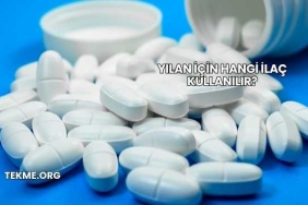Yılan İçin Hangi İlaç Kullanılır?