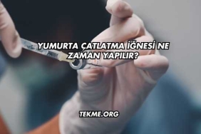 Yumurta Çatlatma İğnesi Ne Zaman Yapılır?