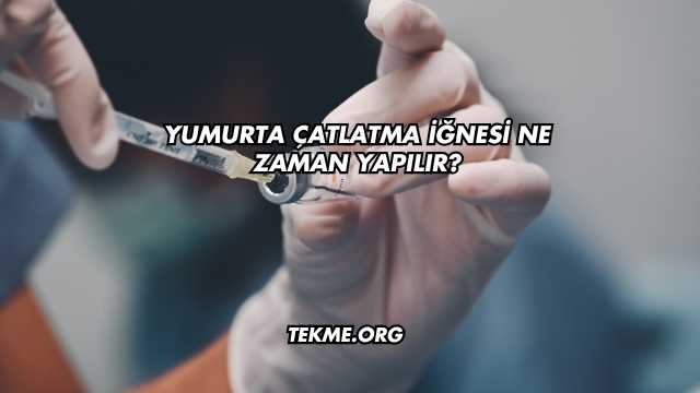 Yumurta Çatlatma İğnesi Ne Zaman Yapılır?