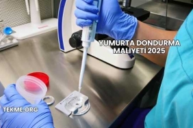 Yumurta Dondurma Maliyeti 2025
