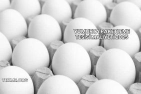 Yumurta Paketleme Tesisi Maliyeti 2025