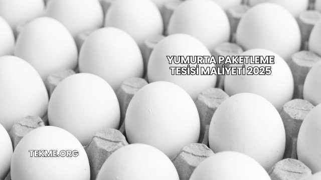 Yumurta Paketleme Tesisi Maliyeti 2025