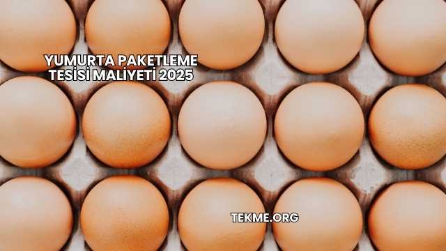 Yumurta Paketleme Tesisi Maliyeti 2025