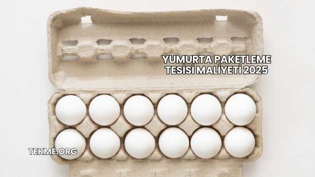 Yumurta Paketleme Tesisi Maliyeti 2025