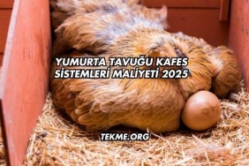 Yumurta Tavuğu Kafes Sistemleri Maliyeti 2025