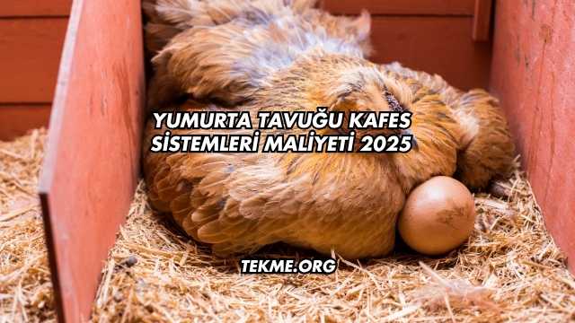 Yumurta Tavuğu Kafes Sistemleri Maliyeti 2025