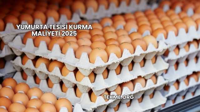 Yumurta Tesisi Kurma Maliyeti 2025