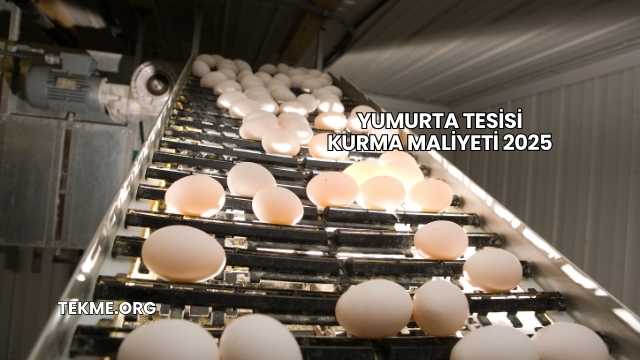 Yumurta Tesisi Kurma Maliyeti 2025