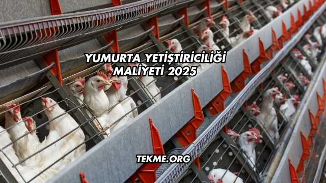 Yumurta Yetiştiriciliği Maliyeti 2025