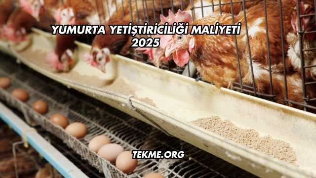 Yumurta Yetiştiriciliği Maliyeti 2025