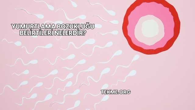 Yumurtlama Bozukluğu Belirtileri Nelerdir?