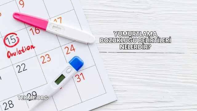 Yumurtlama Bozukluğu Belirtileri Nelerdir?