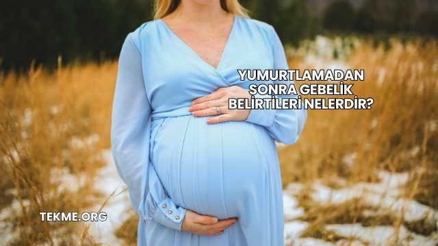 Yumurtlamadan Sonra Gebelik Belirtileri Nelerdir?