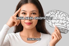 Zeka Nasıl Geliştirilir?