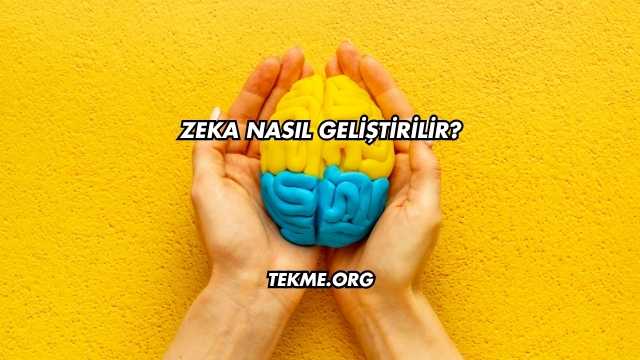 Zeka Nasıl Geliştirilir?