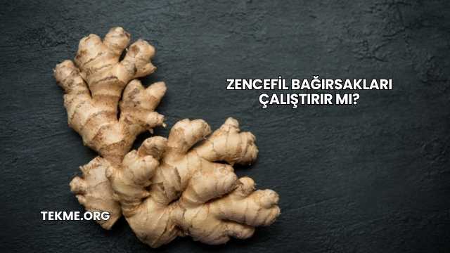 Zencefil Bağırsakları Çalıştırır mı?