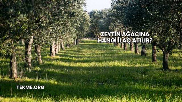 Zeytin Ağacına Hangi İlaç Atılır?
