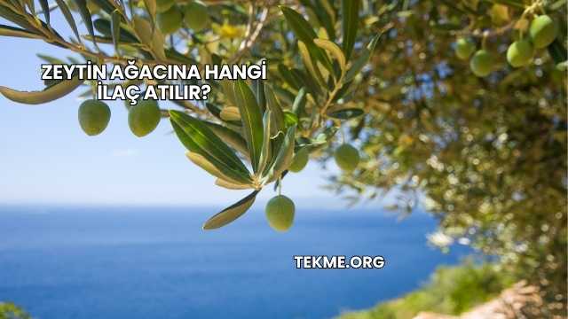 Zeytin Ağacına Hangi İlaç Atılır?