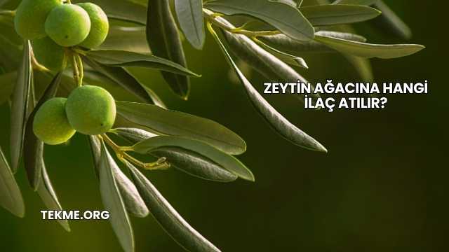 Zeytin Ağacına Hangi İlaç Atılır?