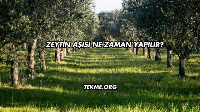 Zeytin Aşısı Ne Zaman Yapılır?