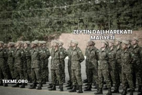 Zeytin Dalı Harekatı Maliyeti