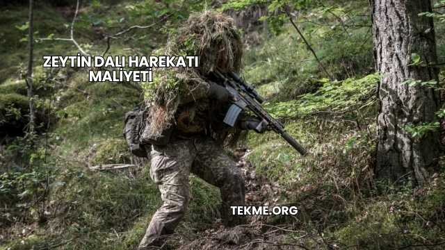 Zeytin Dalı Harekatı Maliyeti