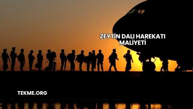 Zeytin Dalı Harekatı Maliyeti