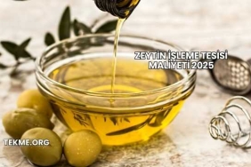 Zeytin İşleme Tesisi Maliyeti 2025