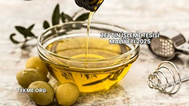 Zeytin İşleme Tesisi Maliyeti 2025