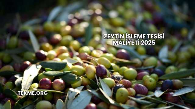 Zeytin İşleme Tesisi Maliyeti 2025