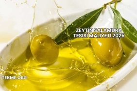 Zeytin Salamura Tesisi Maliyeti 2025
