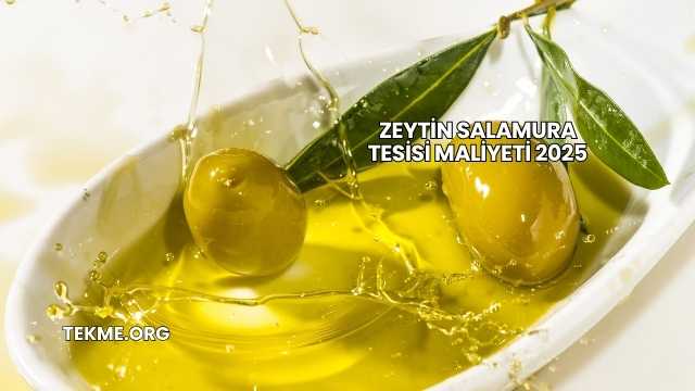 Zeytin Salamura Tesisi Maliyeti 2025