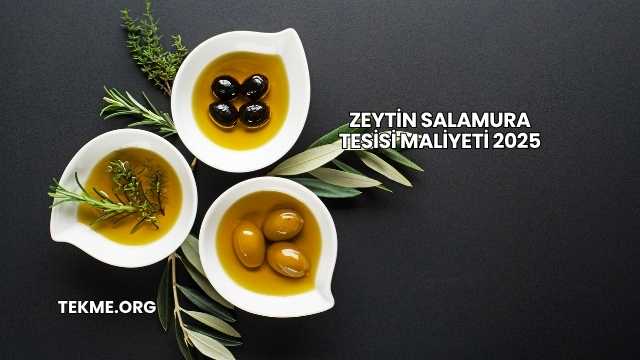 Zeytin Salamura Tesisi Maliyeti 2025