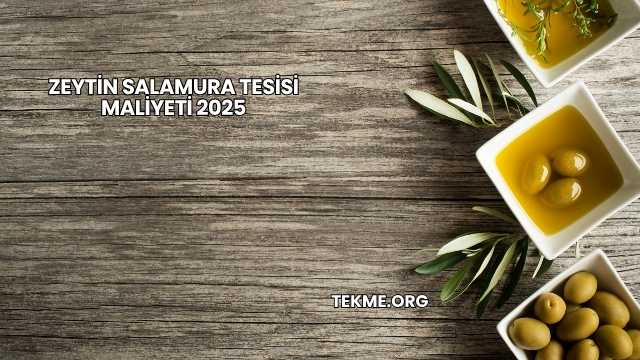 Zeytin Salamura Tesisi Maliyeti 2025