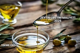 Zeytin Üretim Maliyeti 2025