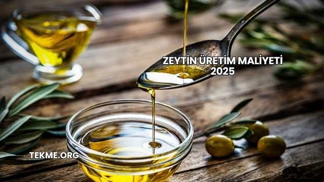 Zeytin Üretim Maliyeti 2025
